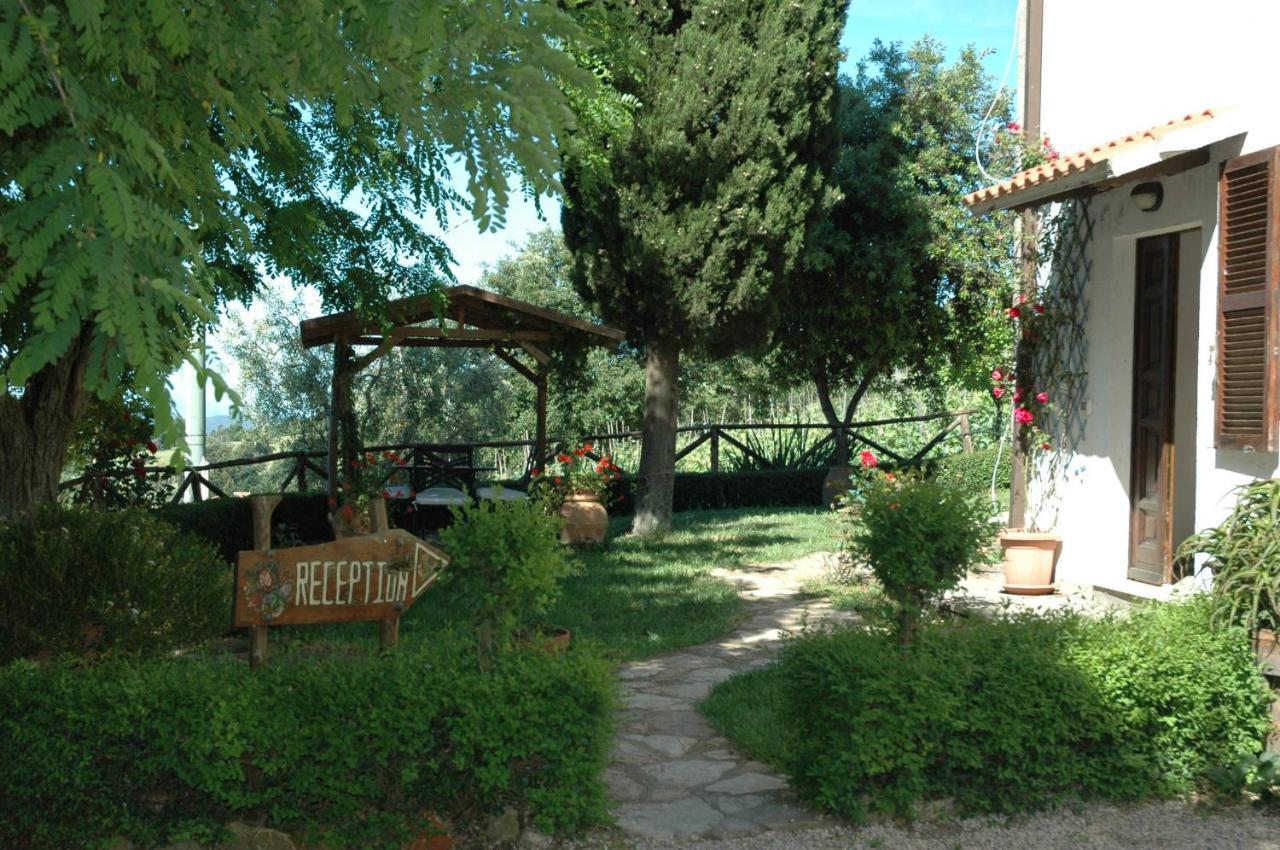 Agriturismomillefiori マンチャーノ エクステリア 写真